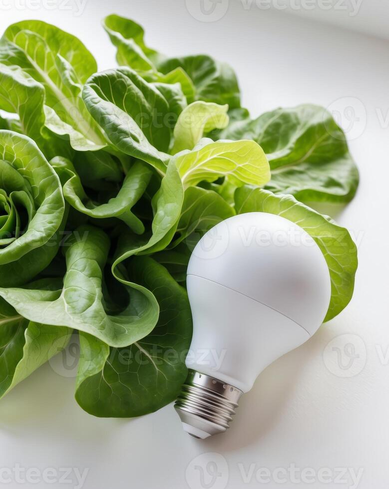 Modern Light Bulb Among Fresh Green Lettuce photo