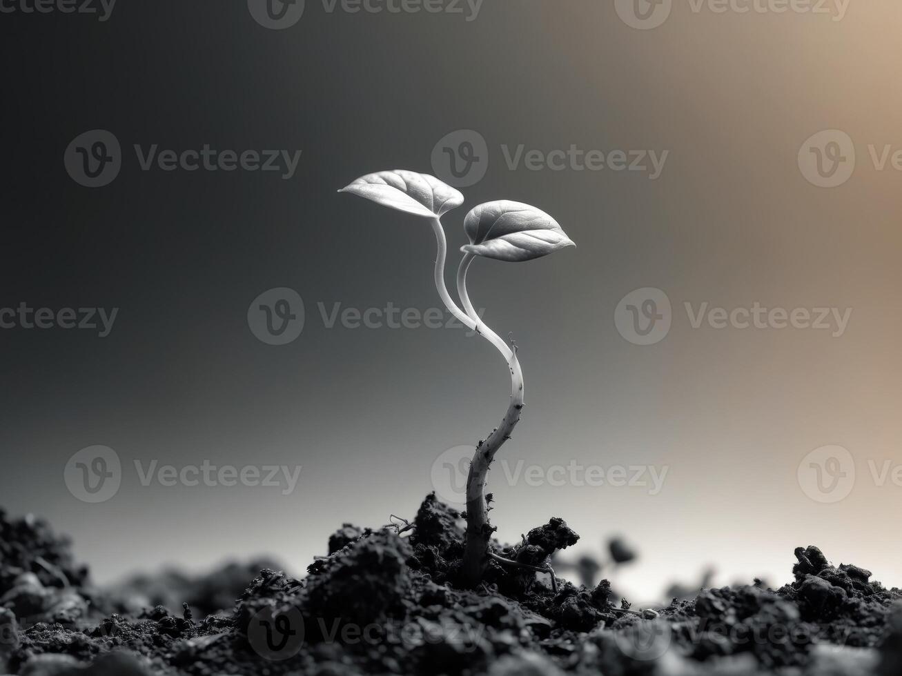 Tiny plant emerges from dark soil showcasing new growth and vitalityTiny plant emerges from dark soil showcasing new growth and vitality. photo