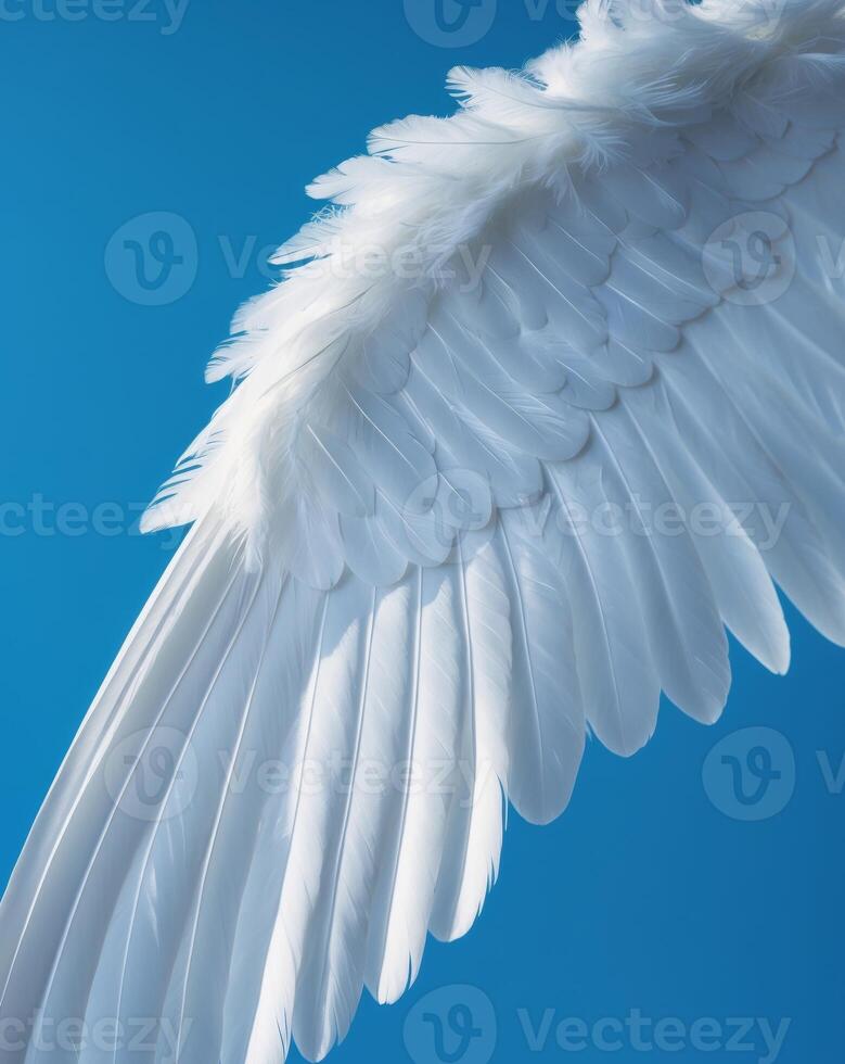 a close up of a white angel wings on a blue background photo