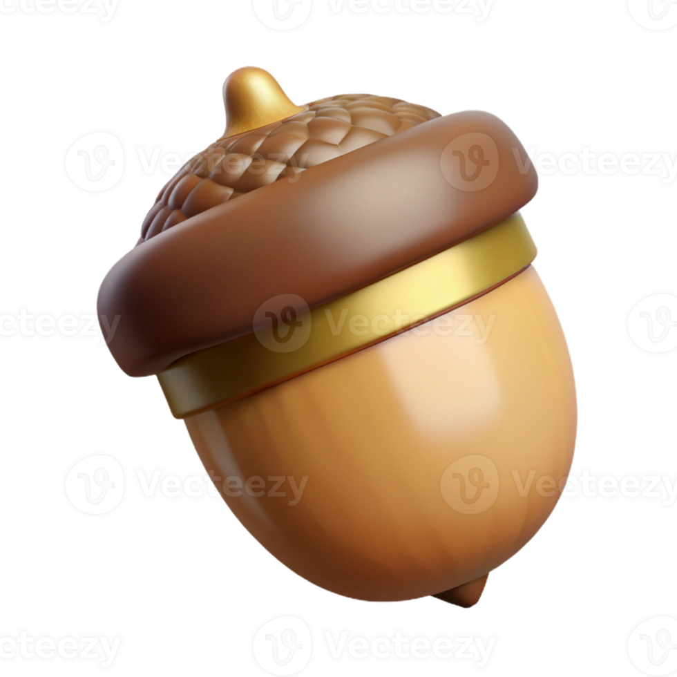 Acorn with a realistic oak cap. png