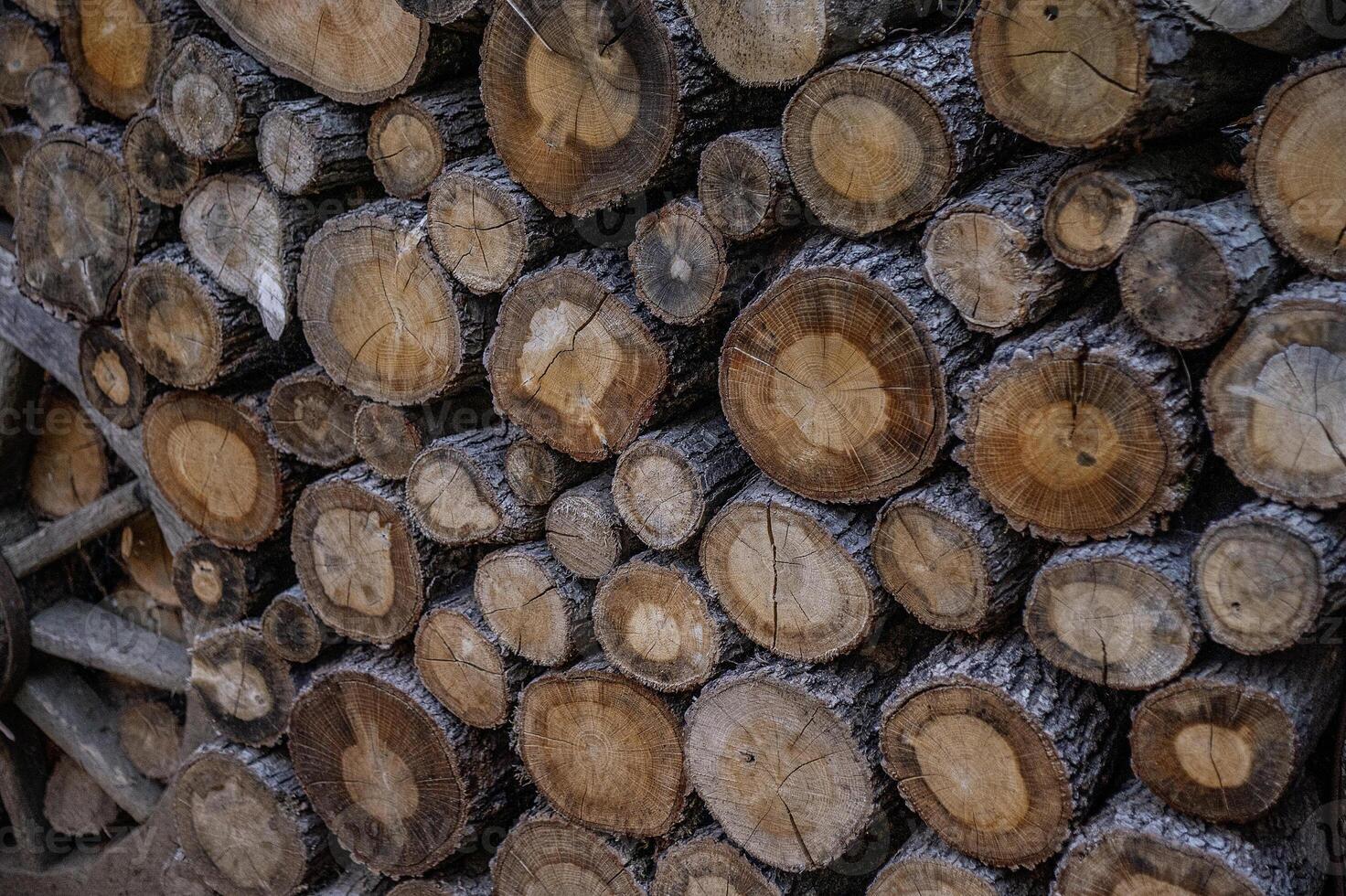 Pile of firewood stacked on top of each other .wall of firewood photo