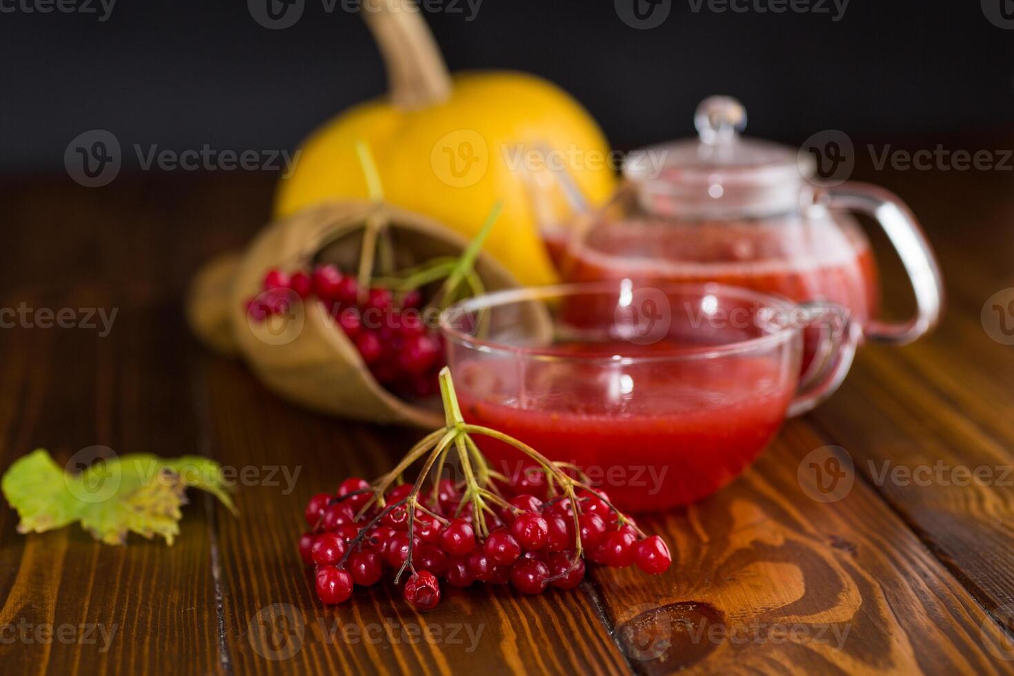 red autumn berries of ripe viburnum photo