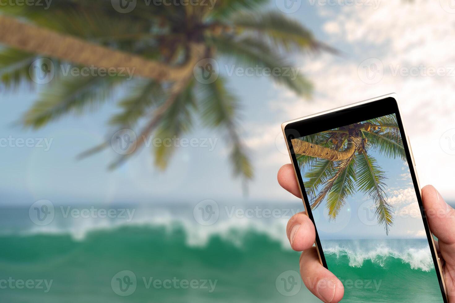 Ocean beach and palm trees on smartphone screen. Sunny day in tropics. photo