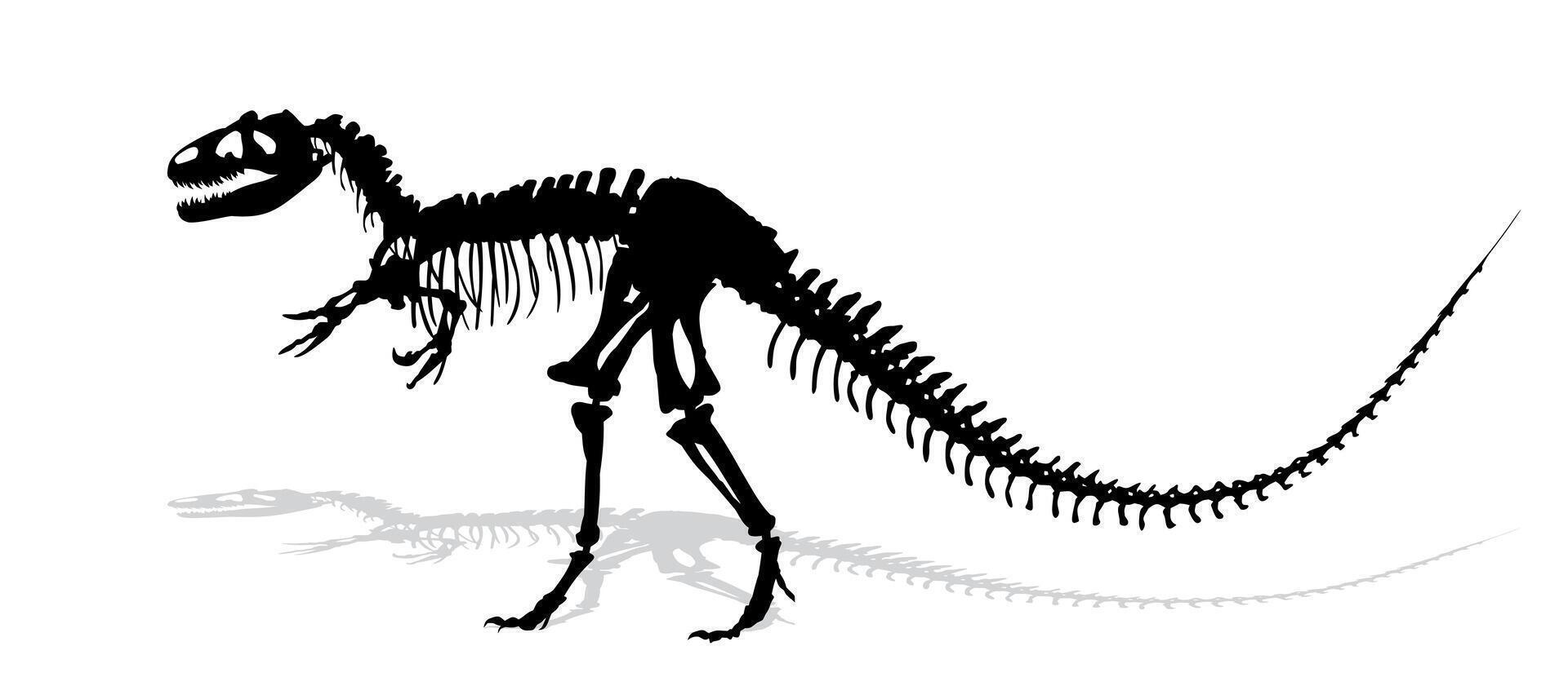 The silhouette of skeleton ancient big dinosaur. vector