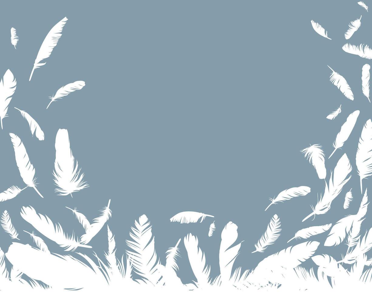 Background with bird feathers. vector