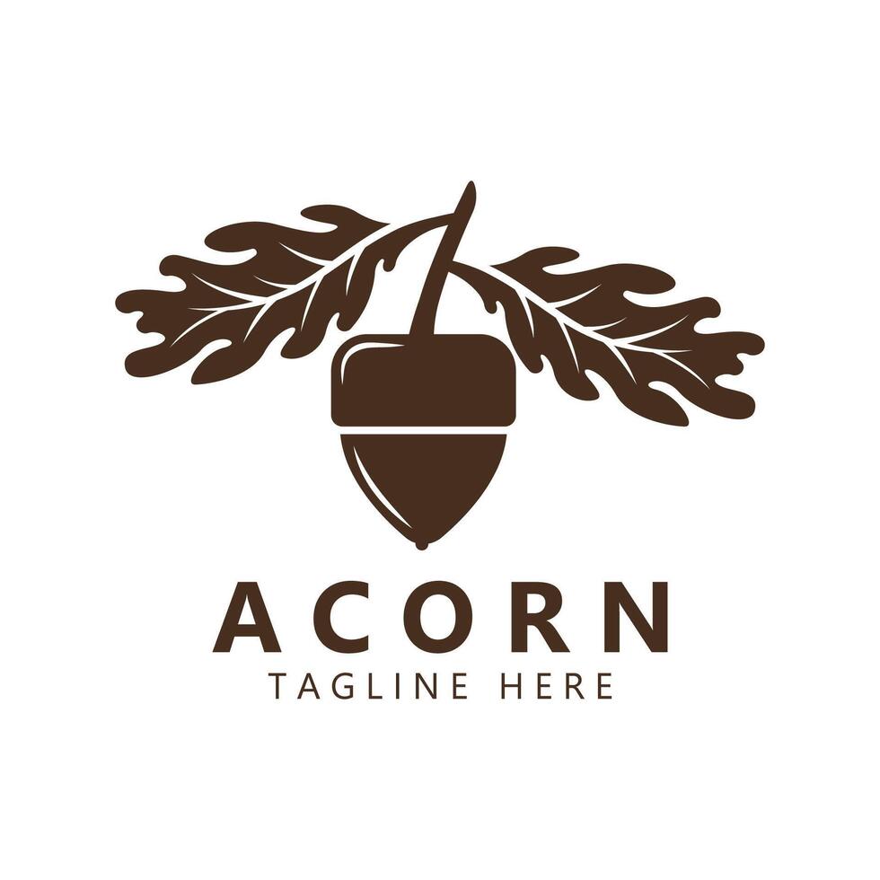acorn logo design with leaves vector