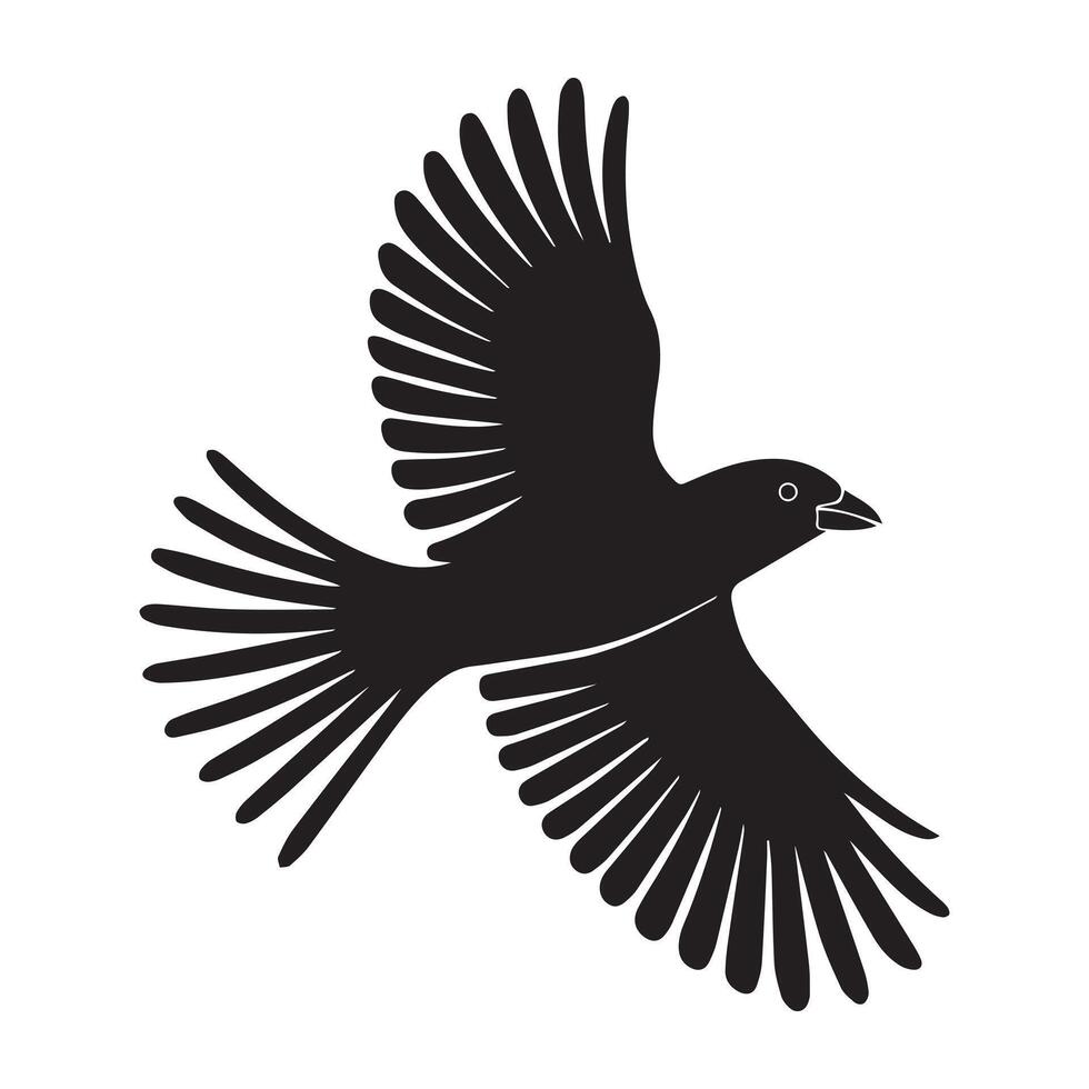 a black bird flying in the air on a white background vector