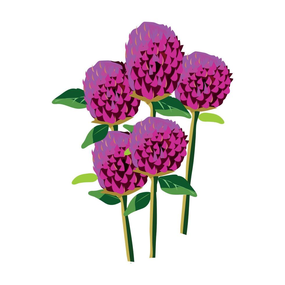 vadamalli or Amaranth Flowers clipart illustration bunch of pink flowers with green short leaves vector