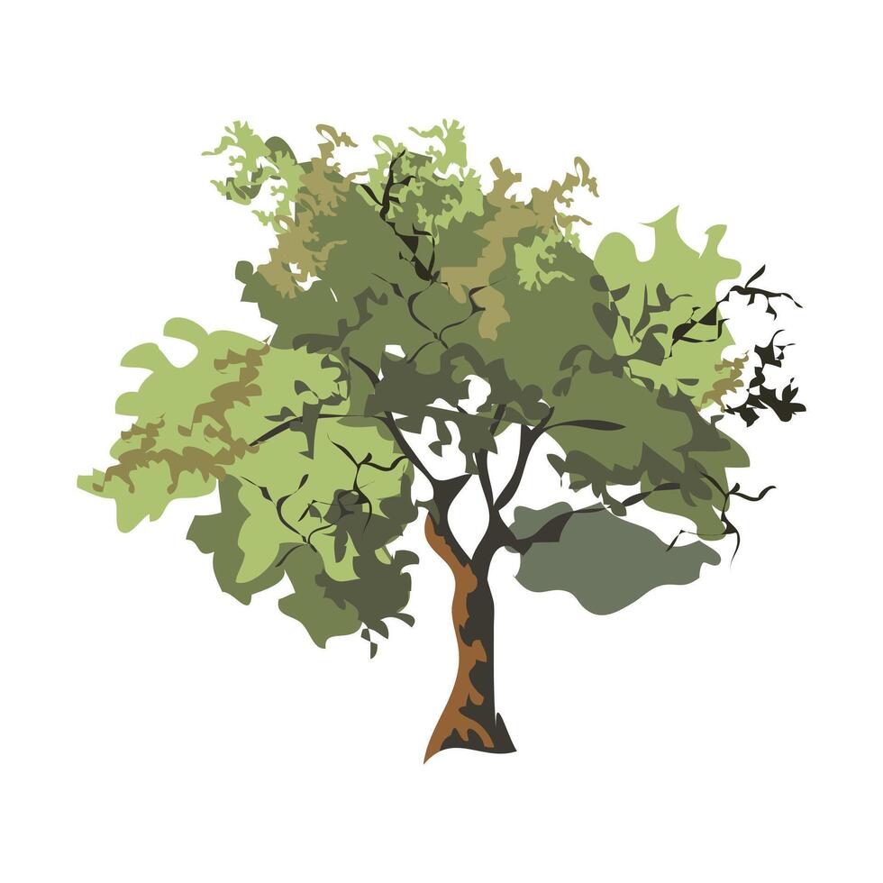 sal tree in green color with big brown woody stem clipart vector