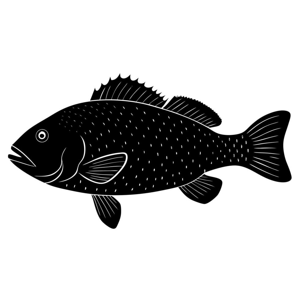 Bulky Grouper Fish Silhouette with Detailed Fins Black and White vector