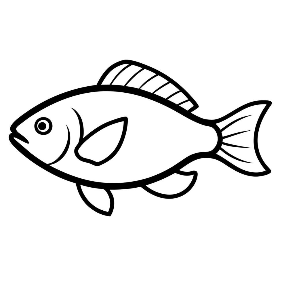 Stylish Fresh Tilapia Fish Free Artwork and Design Projects vector