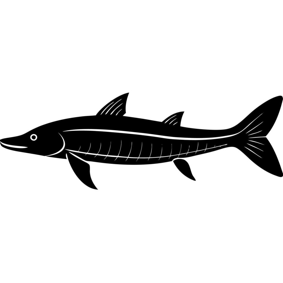 High-quality silhouette illustration of a sturgeon fish. vector