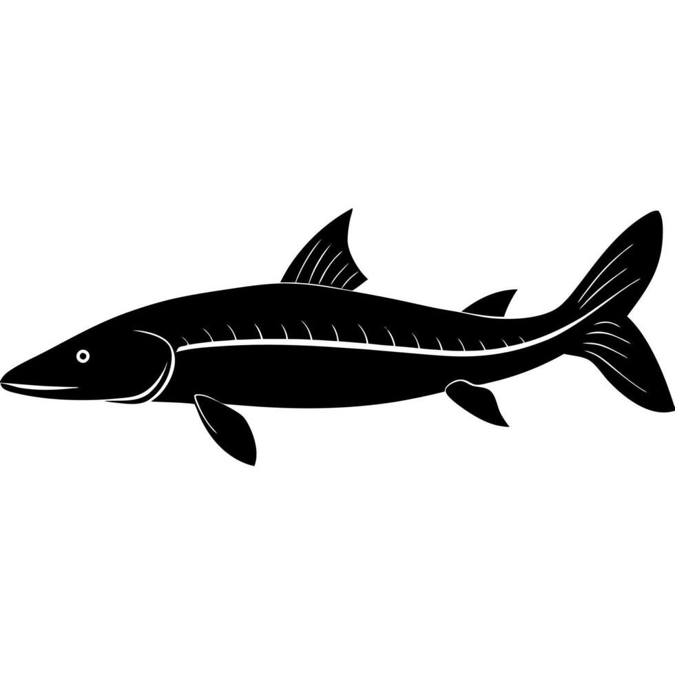 High-quality silhouette illustration of a large sturgeon fish. vector