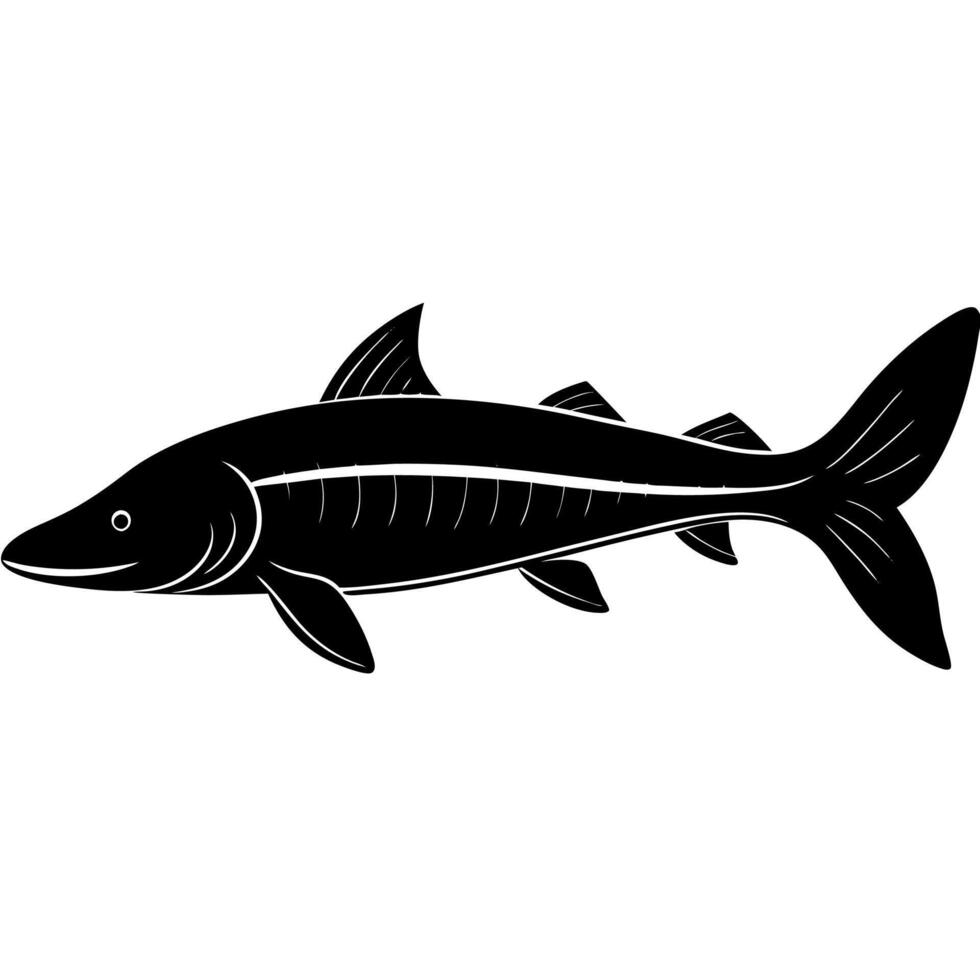 High-quality silhouette illustration of a large sturgeon vector
