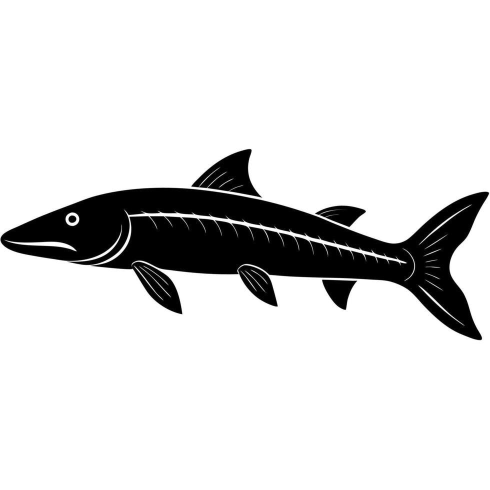 Stunning silhouette of a large sturgeon fish swimming in water. vector