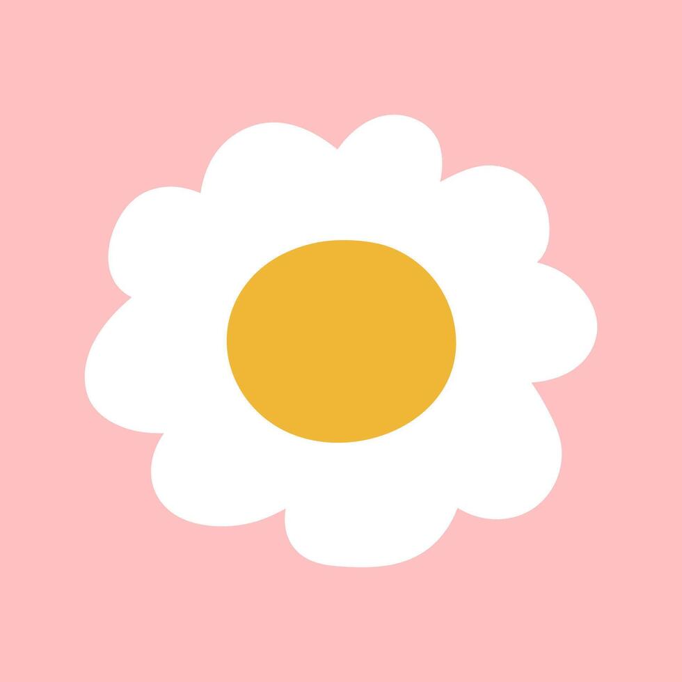 Chamomile. Design. flat art. Illustration on pink background. vector