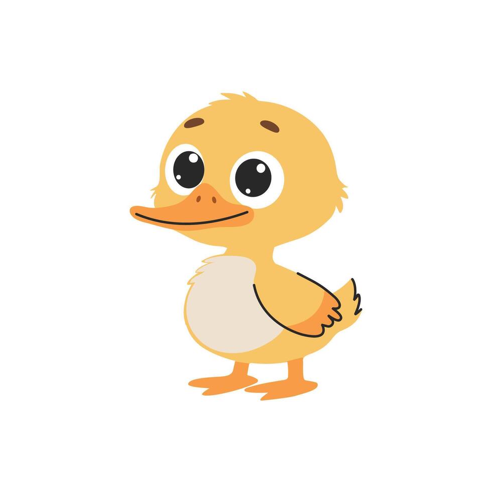 Cute duckling cartoon Illustration isolated on a white background. vector