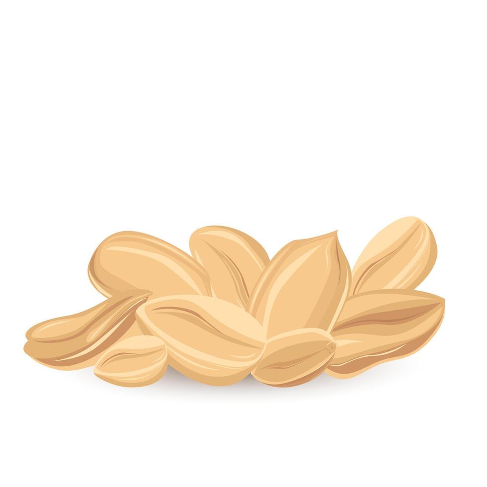 Peanuts. For design projects, food packaging, advertising, or creating educational materials vector