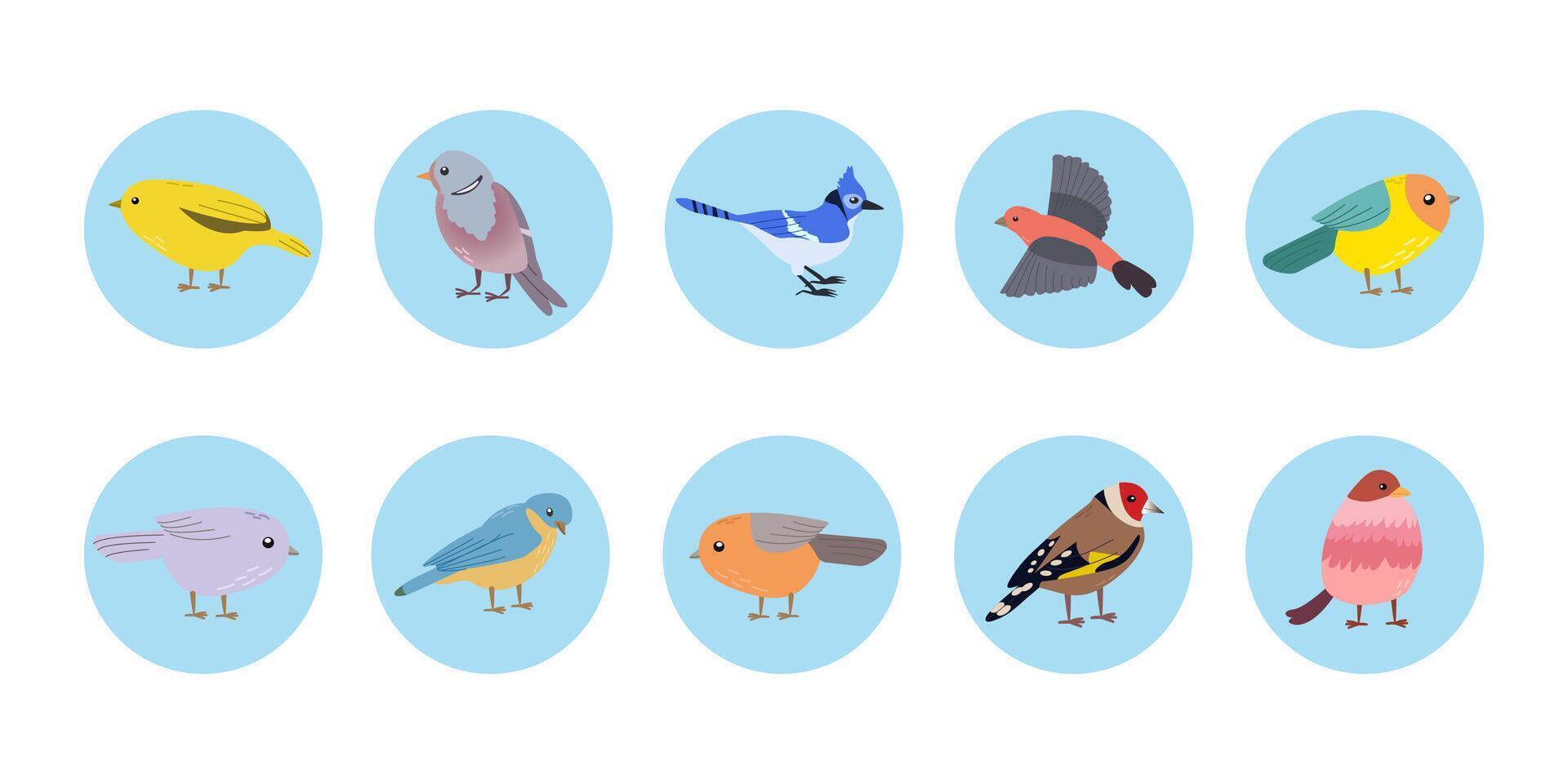 Cute cartoon doodle flat style bird sticker isolate on blue circle background for social media, web design or banner vector