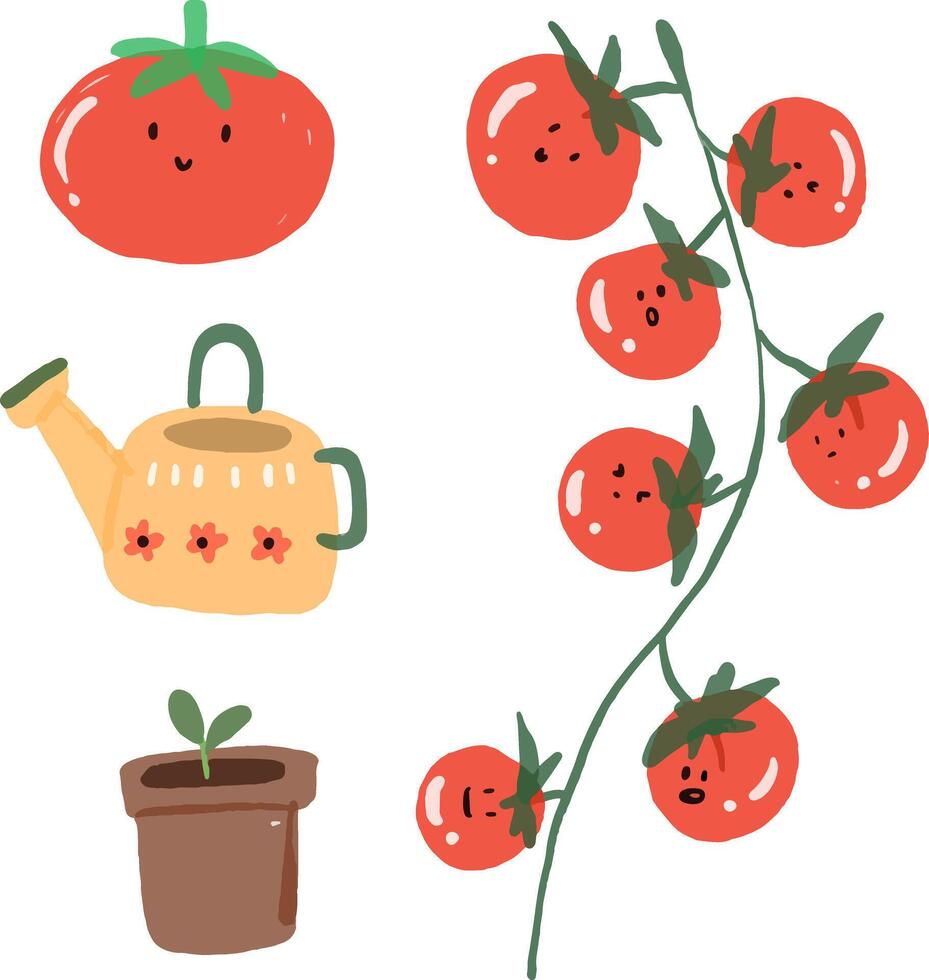 Illustration of tomatos drawn for templates, watercolor style. vector