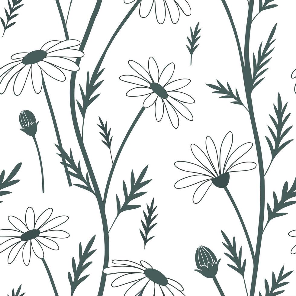 Seamless pattern with daisies on white background vector
