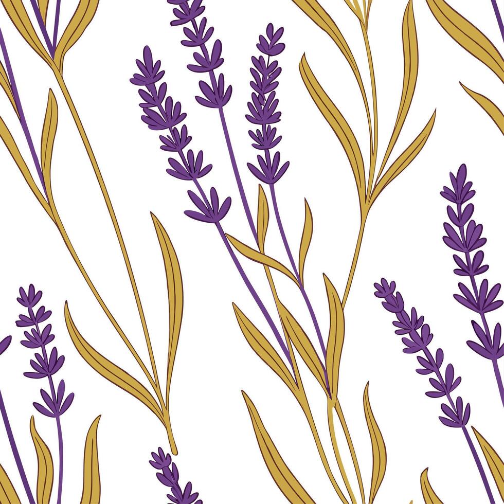 Lavender flowers on a white background vector
