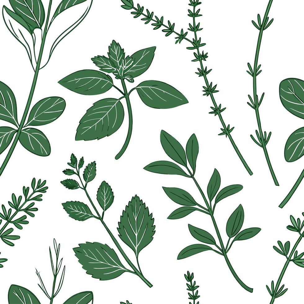Herbs and leaves seamless pattern vector