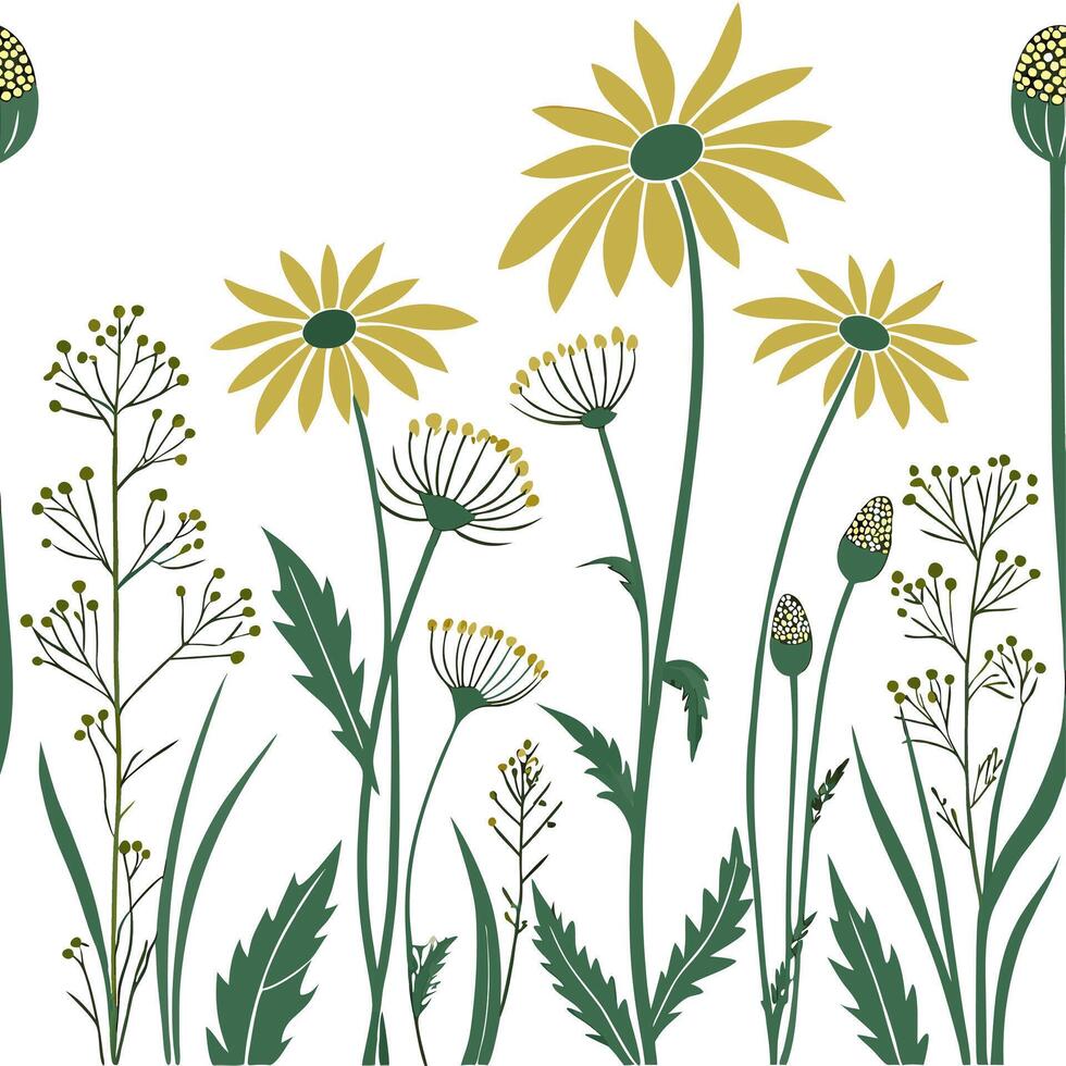 Flowers and wildflowers on a white background vector