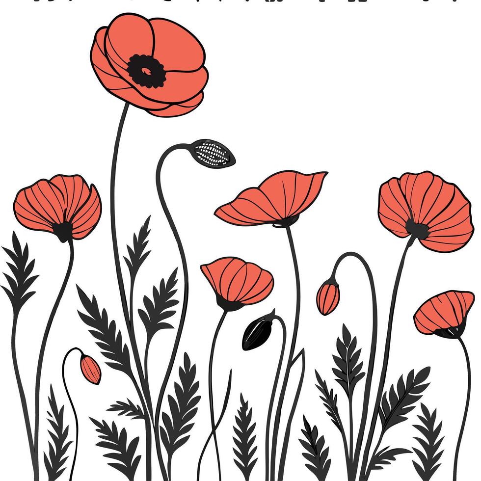 Poppies flowers and leaves illustration vector