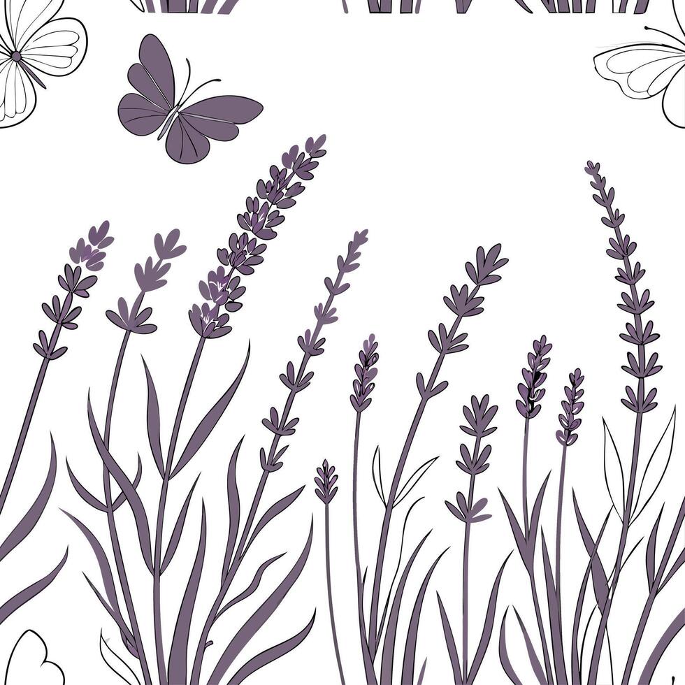 Lavender flowers and butterflies on a white background vector