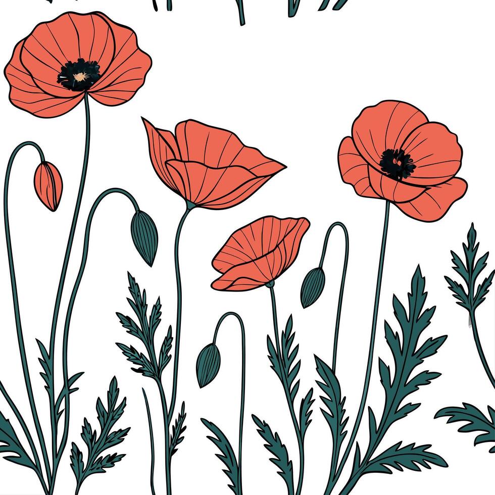 Poppy flowers on white background vector