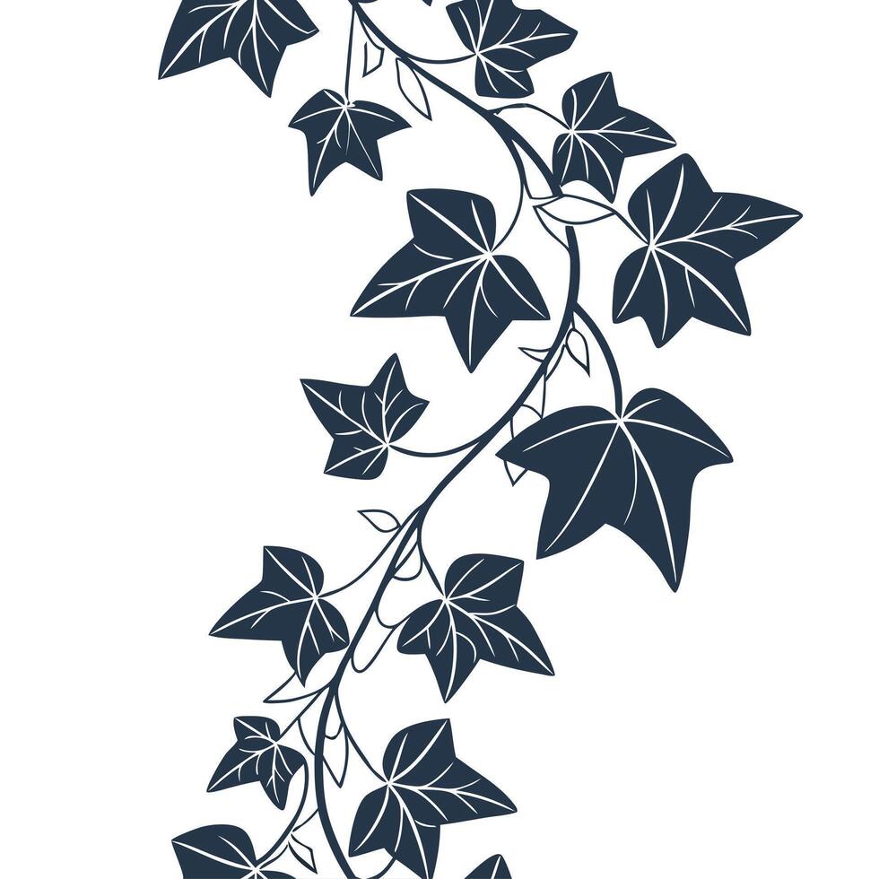 Ivy vine with leaves vector
