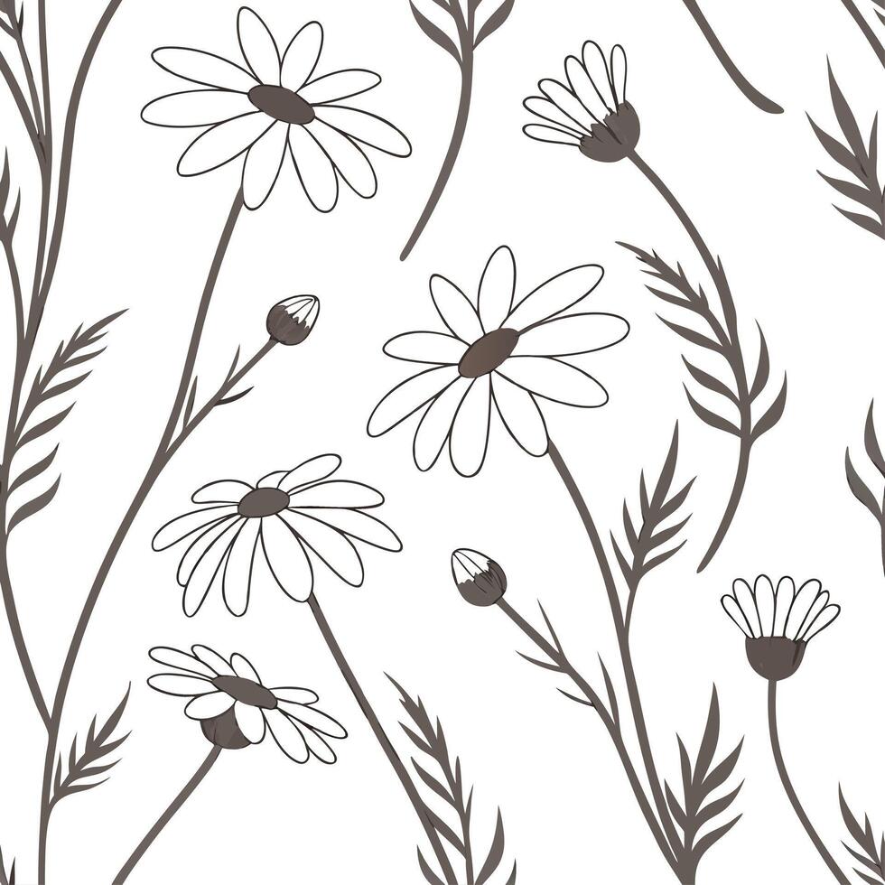 Seamless pattern with daisies on white background vector