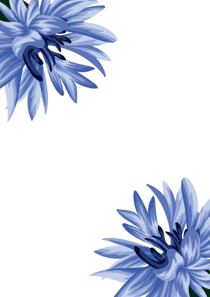 holiday invitation or greeting card template with a plant design of various cornflower on both sides vector