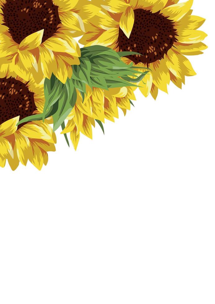 holiday invitation or greeting card template with a plant design of various sunflowers on both sides vector
