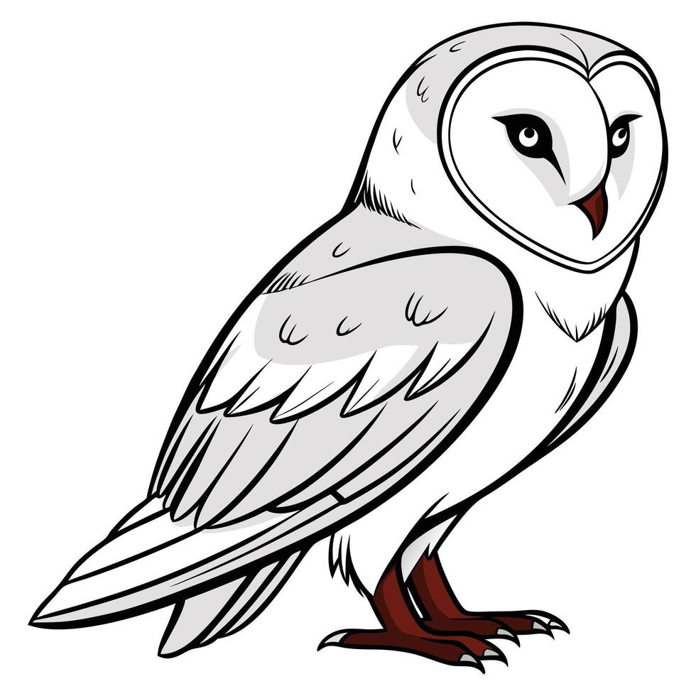 Drawing of High Quality Owl vector