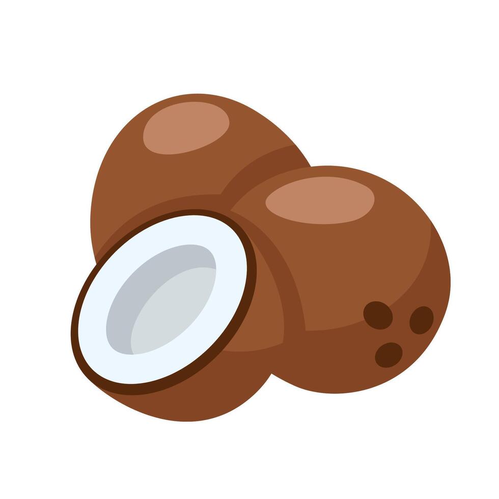 Brown coconut icon isolated on white background vector