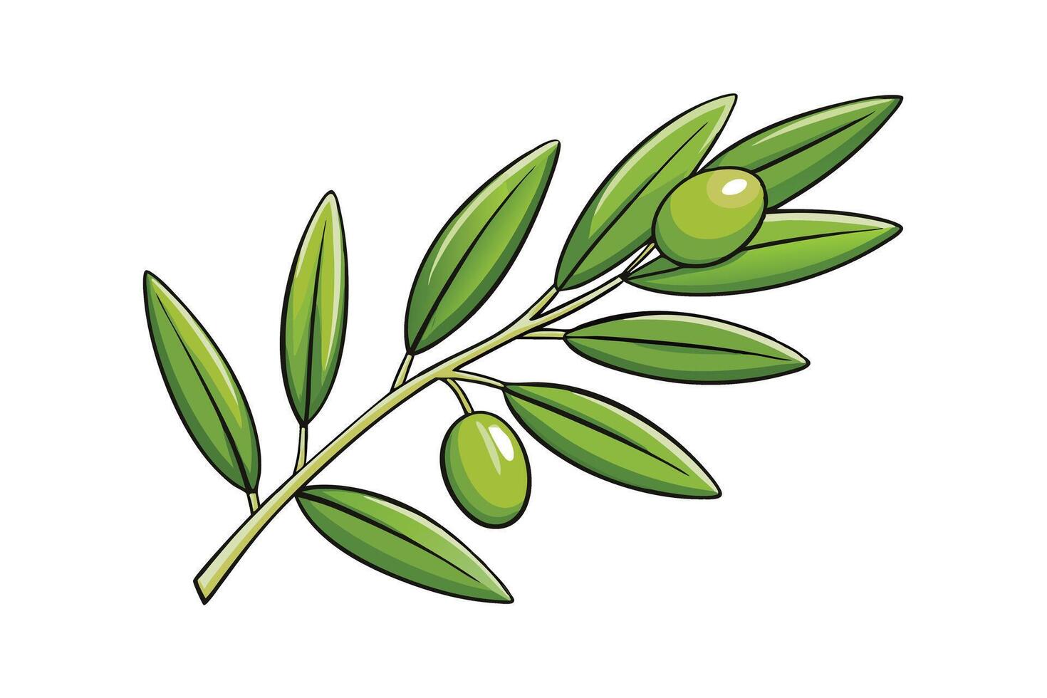 Illustration of an olive tree branch with fresh green leaves and ripe olives, symbolizing health, nature, and Mediterranean culture vector
