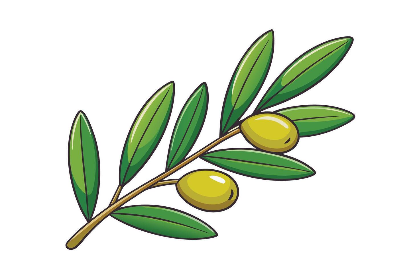 Close up of an olive tree branch featuring lush green leaves and olives, representing nature, agriculture, and Mediterranean diet vector
