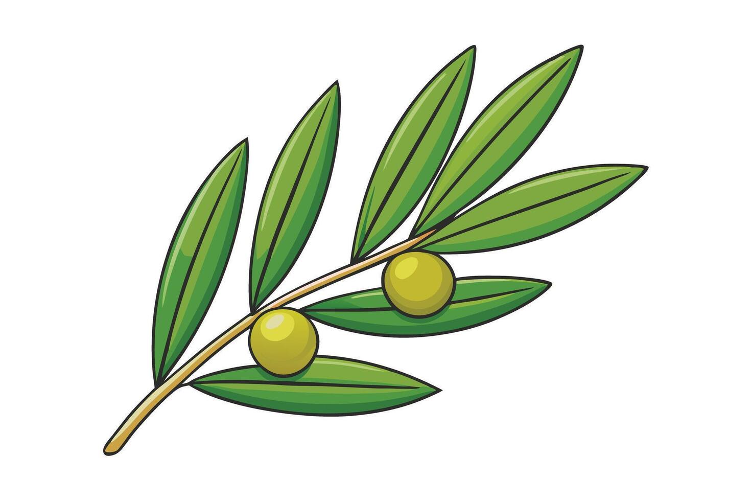 Detailed of an olive branch with vibrant green leaves and olives, perfect for organic, healthy lifestyle, and natural product designs vector