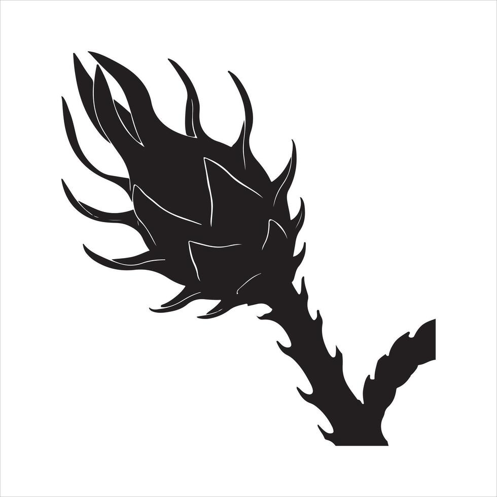 Dragon Fruit silhouette on white background vector