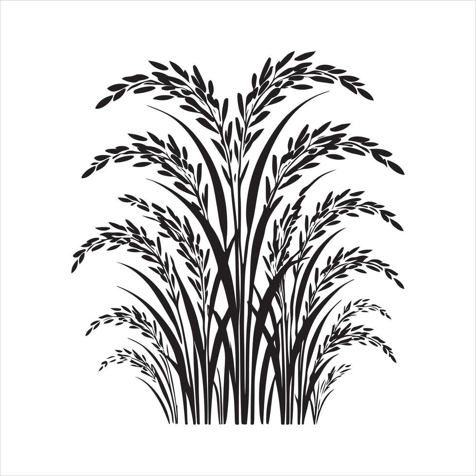 Rice plant black silhouette on white background vector