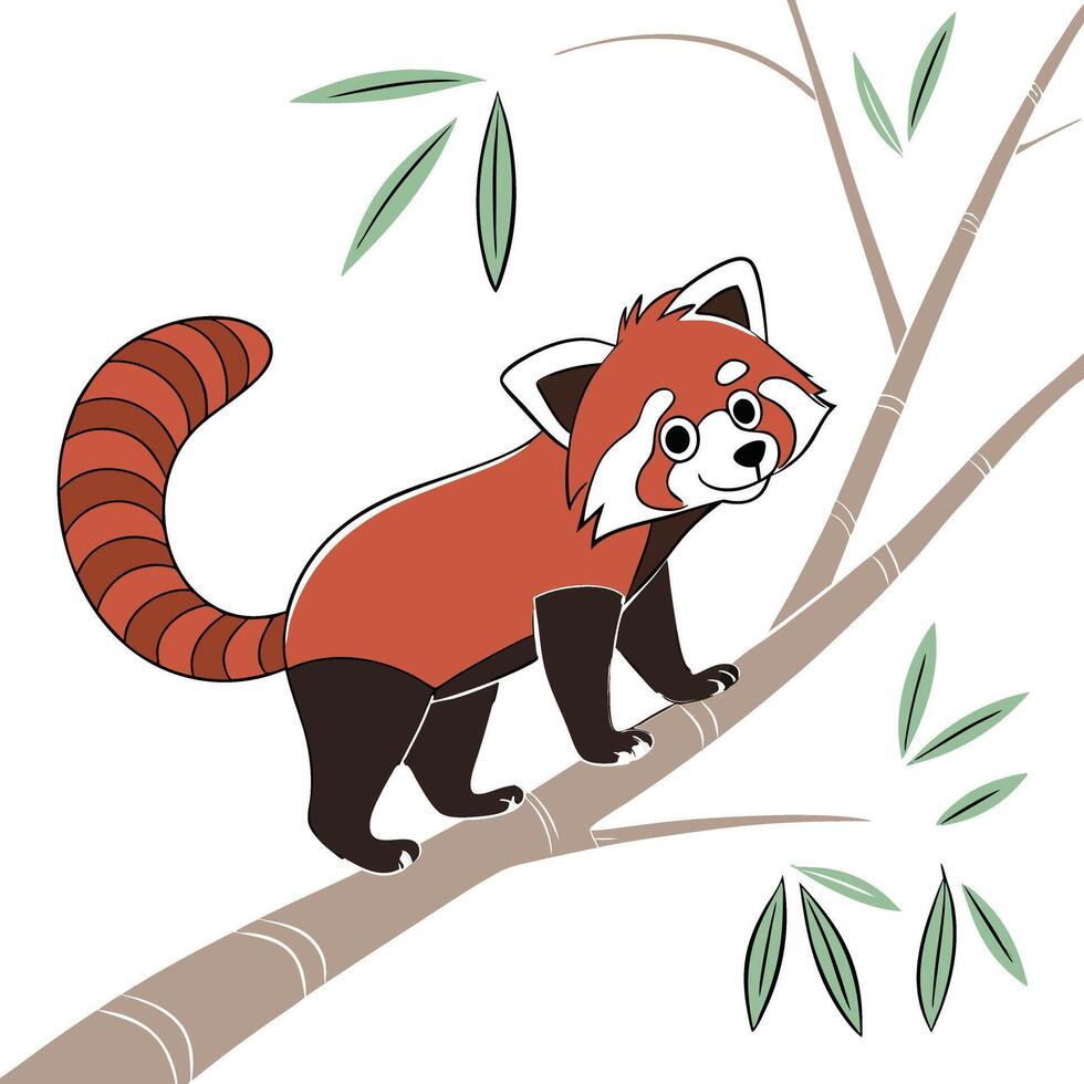 Red Panda in a Tree vector