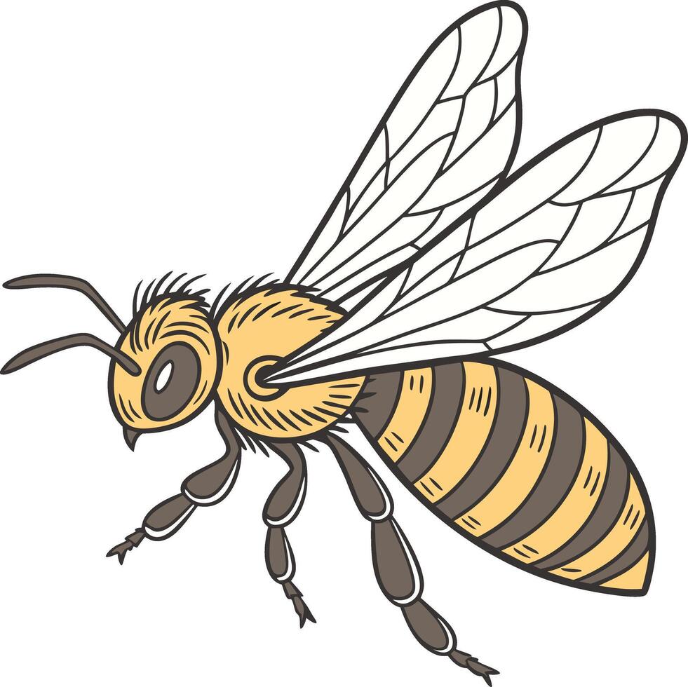 A bee artwork vector