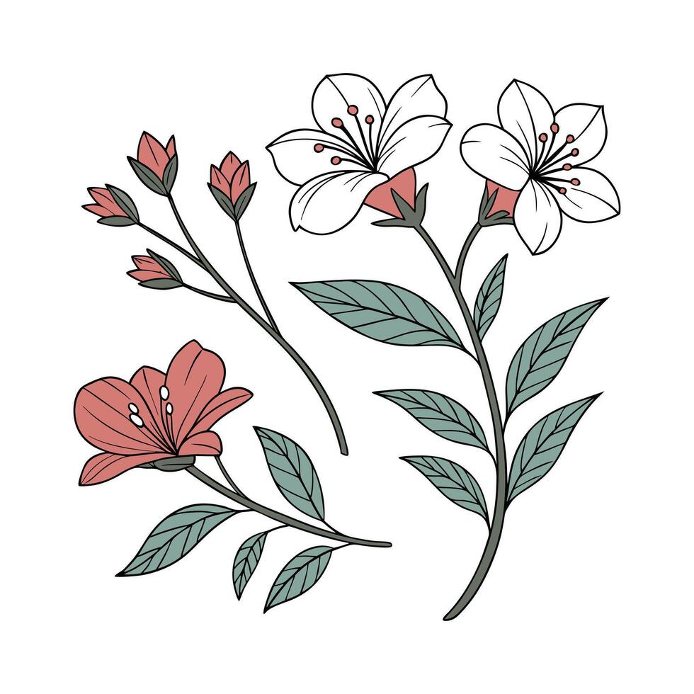 Rustic Hand-Drawn Botanical Sticker Set vector