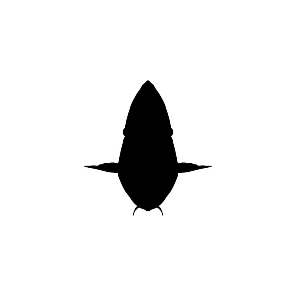 Silhouette of the The Humphead wrasse, Cheilinus undulatus, also known as the Maori wrasse, Napoleon wrasse, Napoleon fish. Flat Style, can use for Logo Gram, Animal Illustration, Pictogram. Front vector