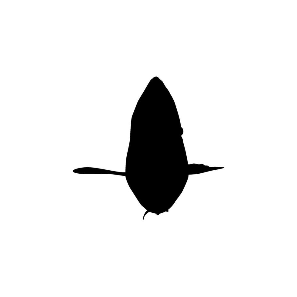 Silhouette of the The Humphead wrasse, Cheilinus undulatus, also known as the Maori wrasse, Napoleon wrasse, Napoleon fish. Flat Style, can use for Logo Gram, Animal Illustration, Pictogram. vector