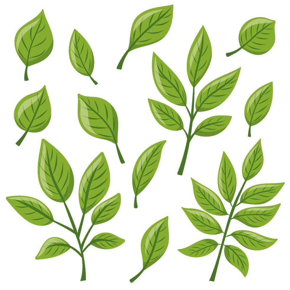 set Eco icon with green leaf vector