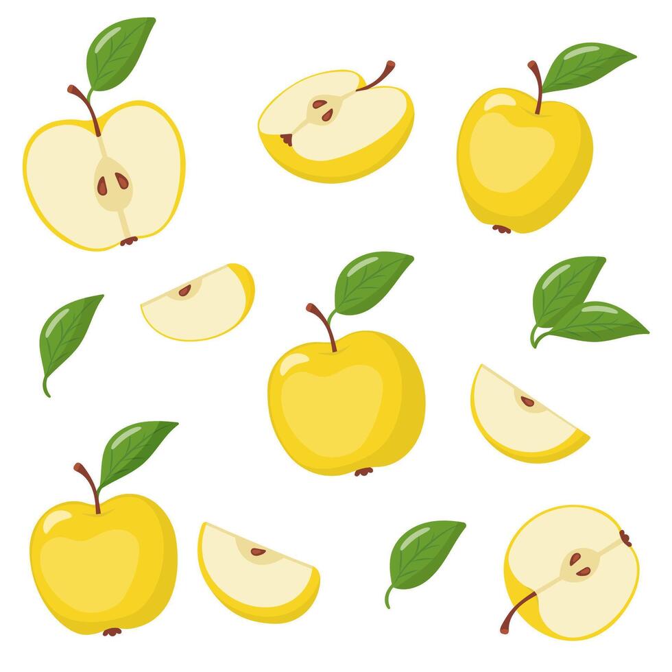 set of delicious ripe pears vector