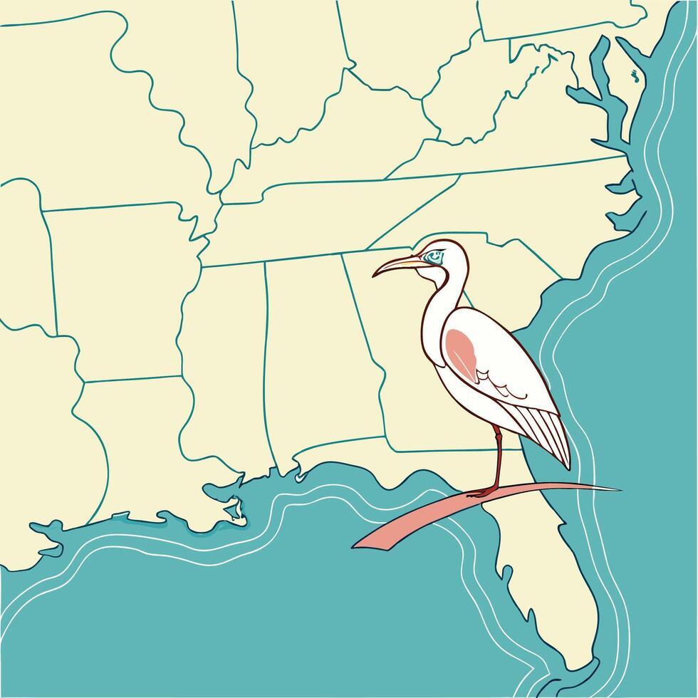 gulf of America map style vector